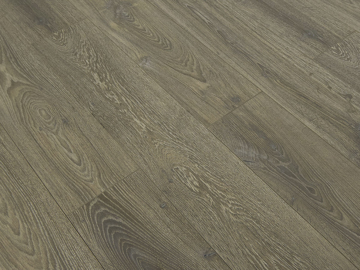 Toucan Laminate - TF6003-F - TF 6003