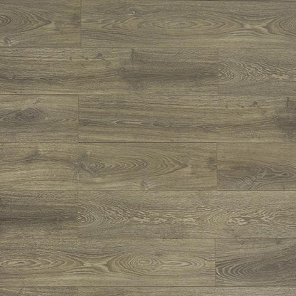 Toucan Laminate - TF6003-F - TF 6003