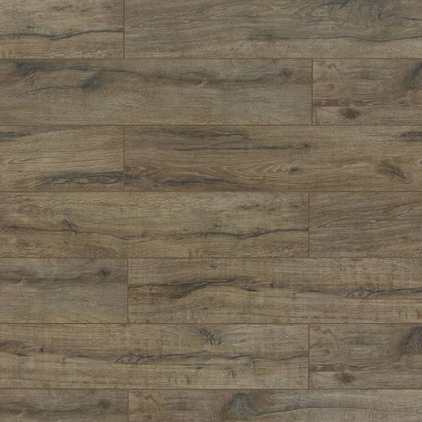 Toucan Laminate - TF6005-F - TF 6005