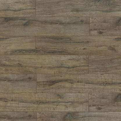 Toucan Laminate - TF6005-F - TF 6005