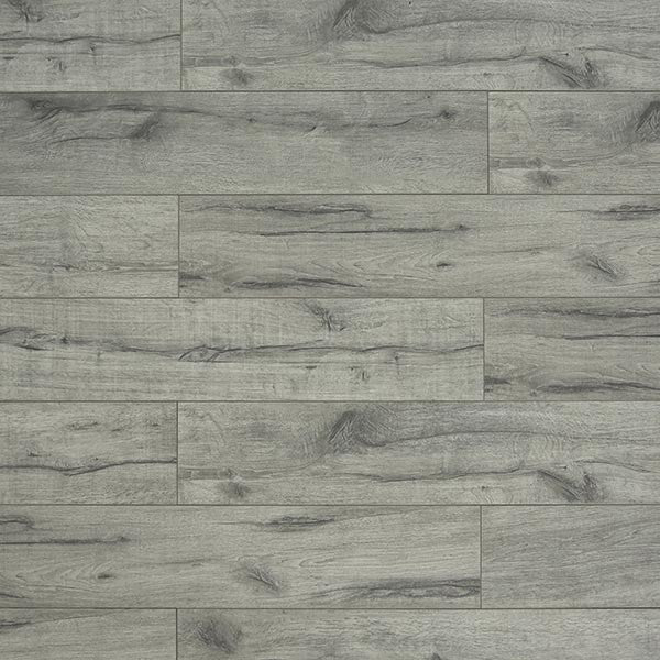 Toucan Laminate - TF6008-F - TF 6008