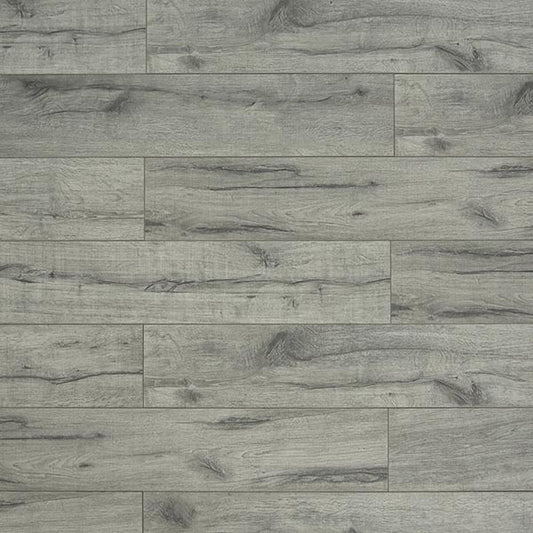 Toucan Laminate - TF6008-F