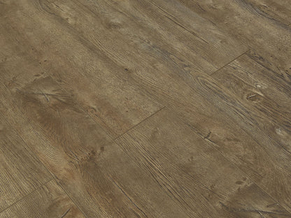 Toucan Laminate - TF6009-F - TF 6009