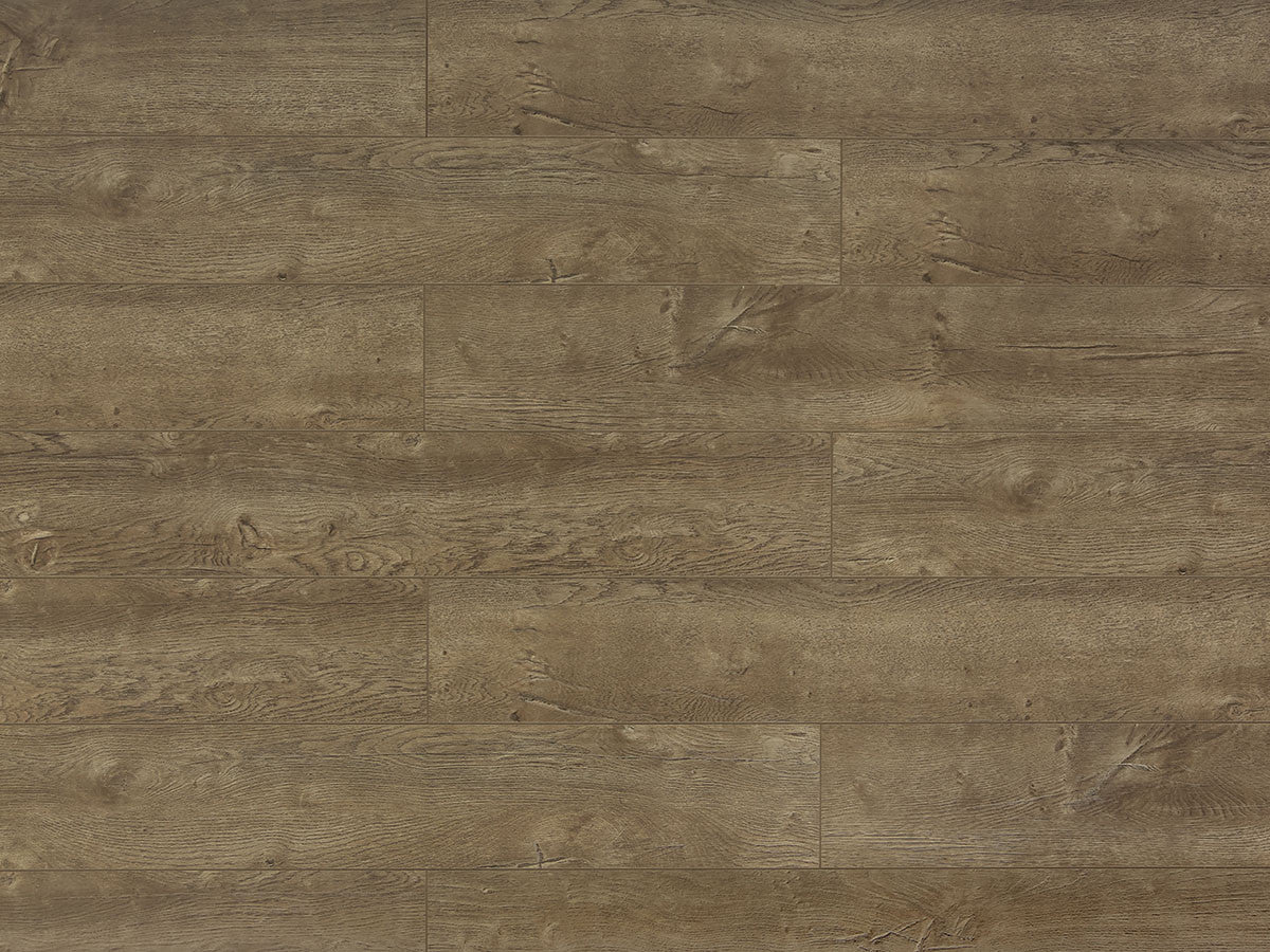 Toucan Laminate - TF6009-F - TF 6009