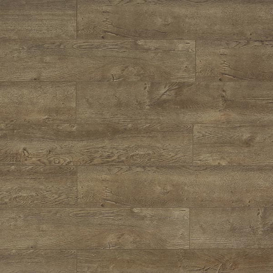 Toucan Laminate - TF6009-F - TF 6009