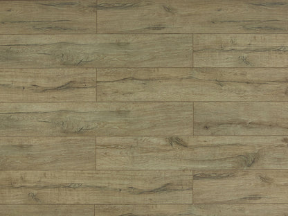 Toucan Laminate - TF6010-F - TF 6010