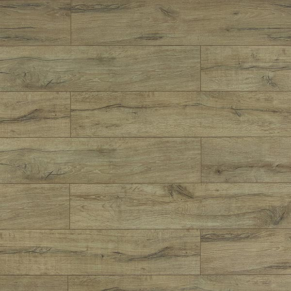 Toucan Laminate - TF6010-F - TF 6010