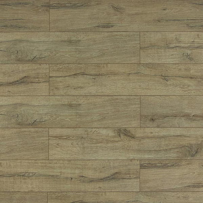 Toucan Laminate - TF6010-F - TF 6010