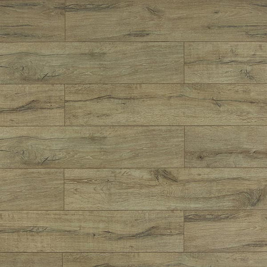 Toucan Laminate - TF6010-F