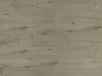 Toucan Laminate - TF6019-F - TF 6019