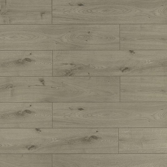 Toucan Laminate - TF6019-F