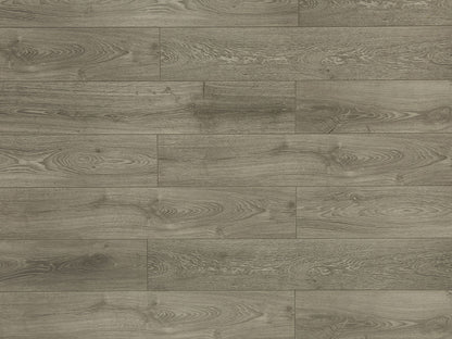 Toucan Laminate - TF6021-F - TF 6021