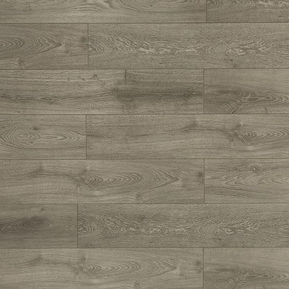 Toucan Laminate - TF6021-F - TF 6021