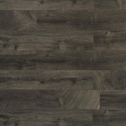 Toucan Laminate - TF6101-F -  TF 6101