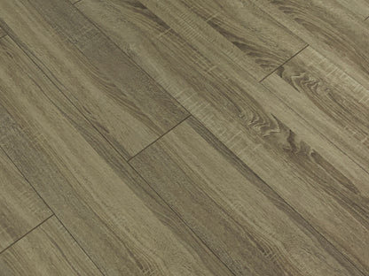 Toucan Laminate - TF6113-F - TF 6113