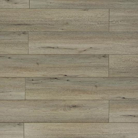 Toucan Laminate - TF6201-F - TF 6201