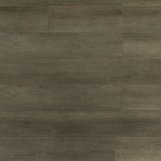 Toucan Laminate - TF6305-F - TF 6305