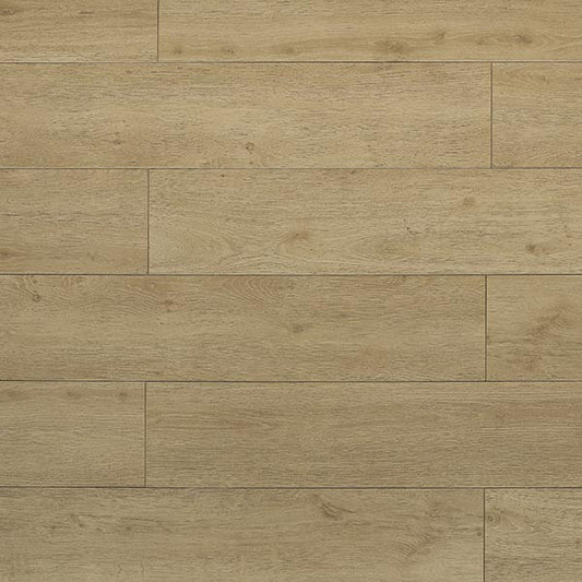 Toucan Laminate - TF6307-F - TF 6307