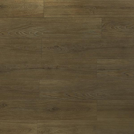 Toucan Laminate - TF6308-F - TF 6308