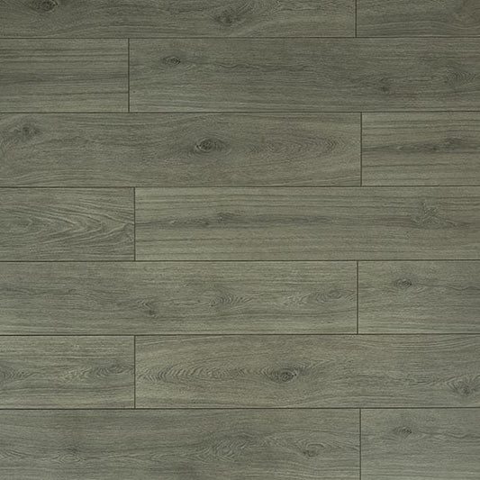 Toucan Laminate - TF6309-F - TF 6309