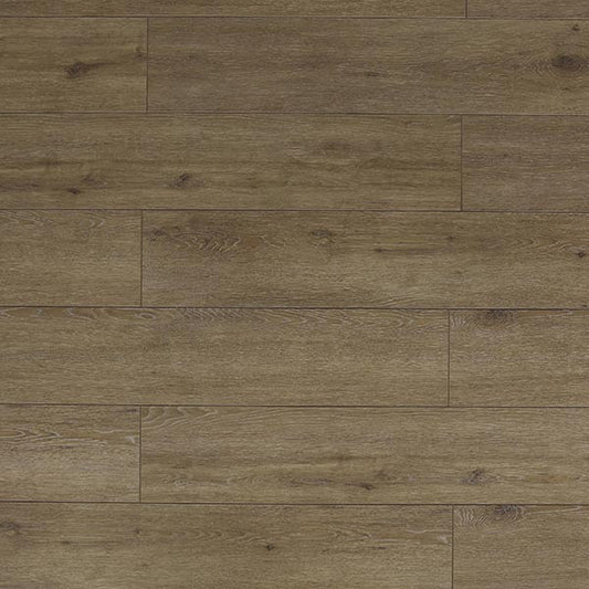 Toucan Laminate - TF6312-F - TF 6312