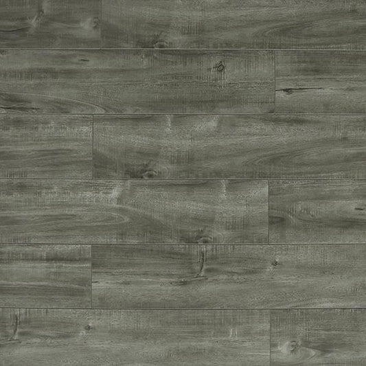 Toucan Laminate - TF6313-F - TF 6313