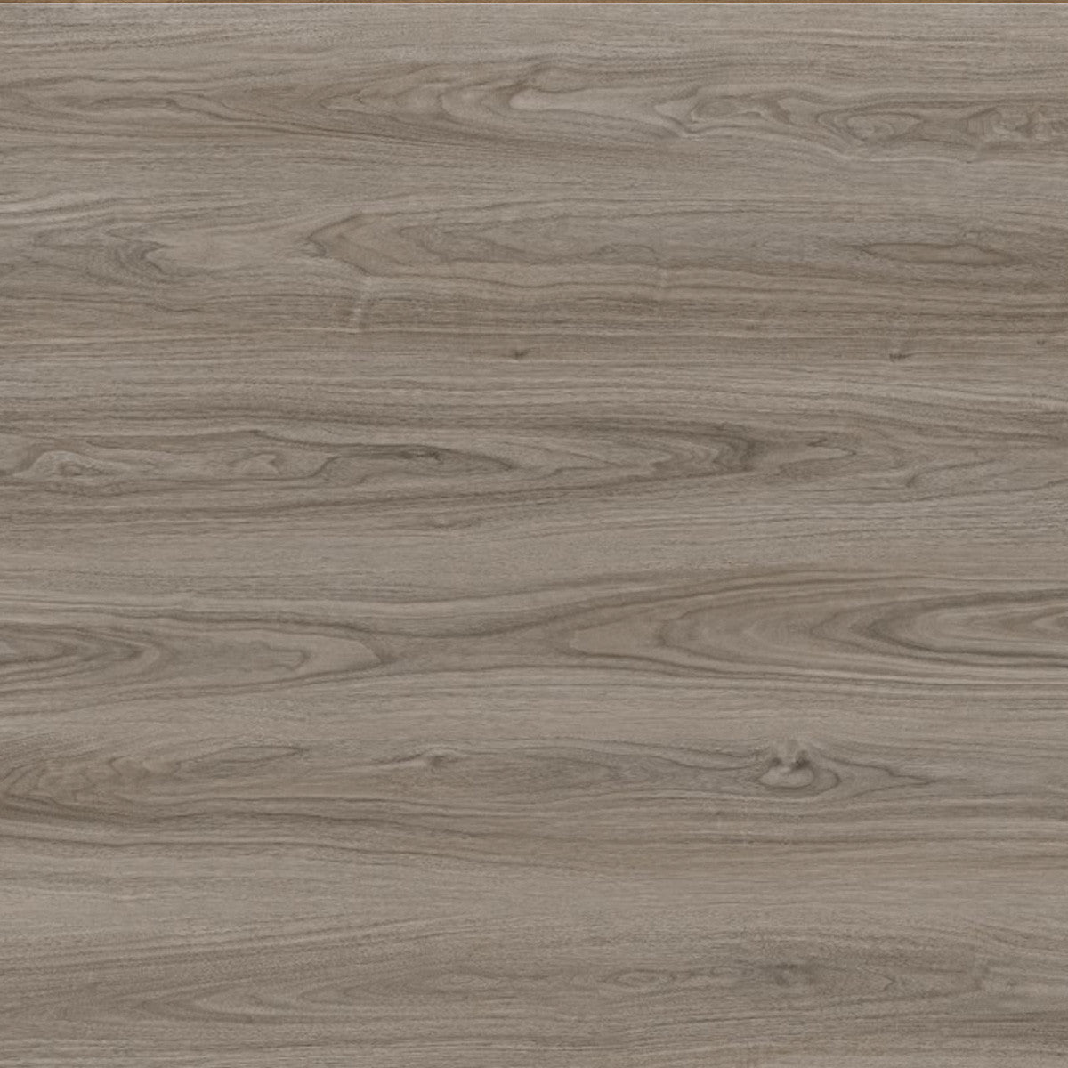 Toucan Laminate - TF6603-F - TF 6603 Santa Fe