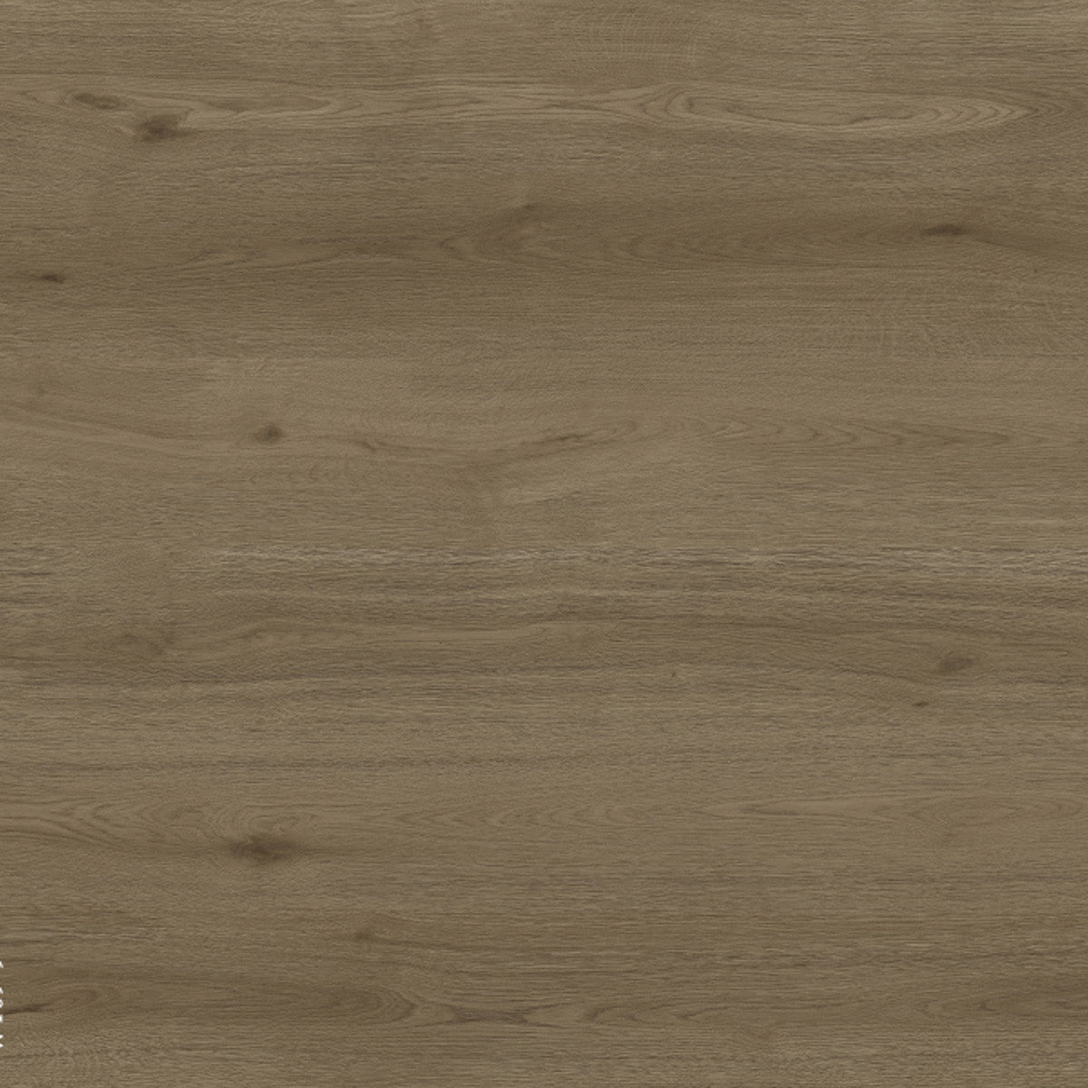 Toucan Laminate - TF6609-F - TF 6609 Reserve