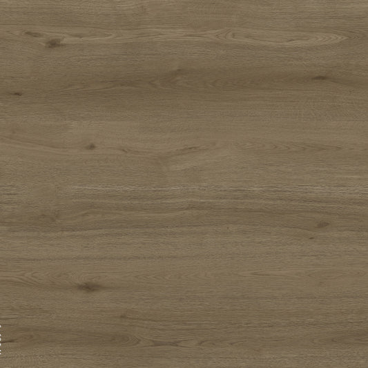 Toucan Laminate - TF6609-F - TF 6609 Reserve