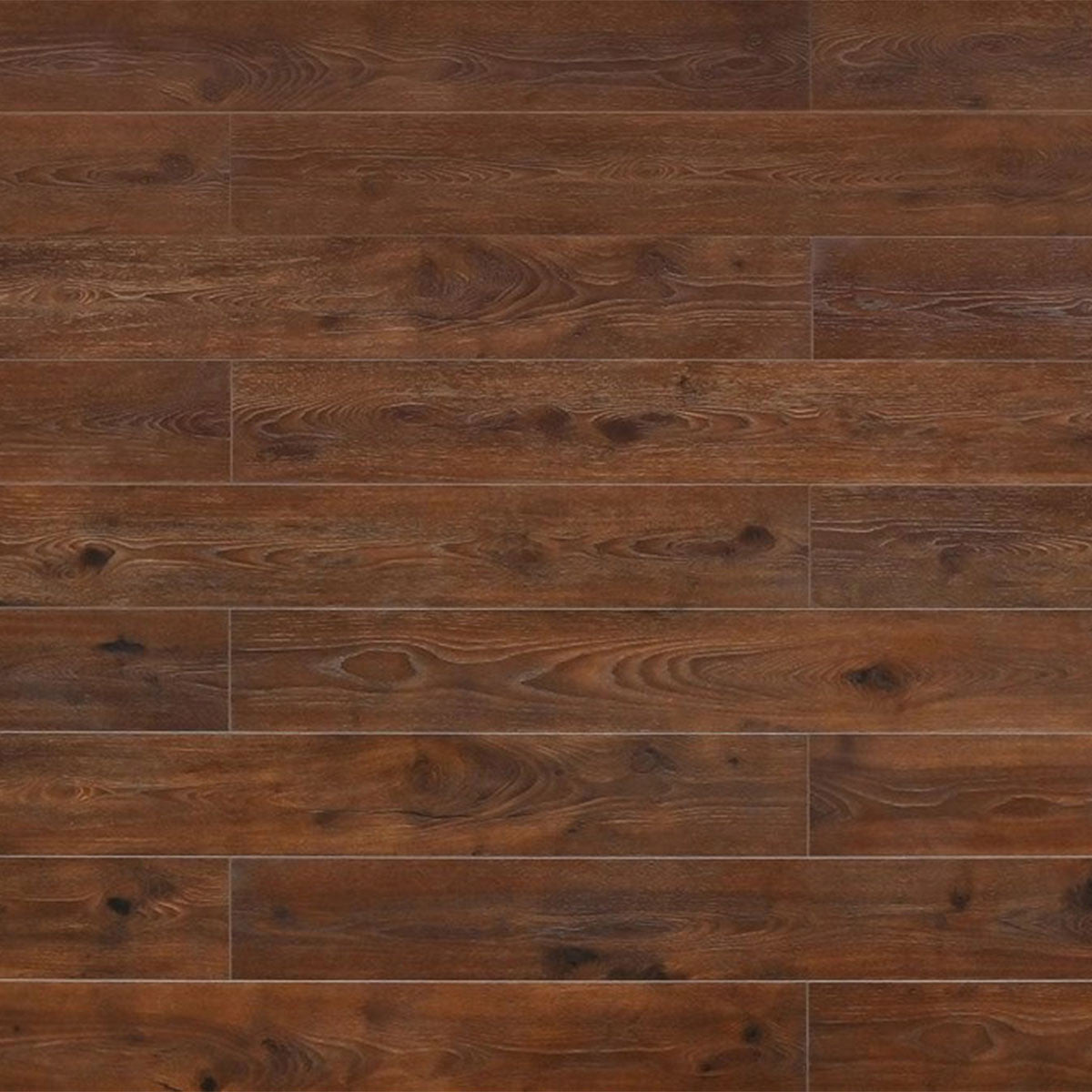 Toucan Laminate Waterproof - TF8001 - TF 8001