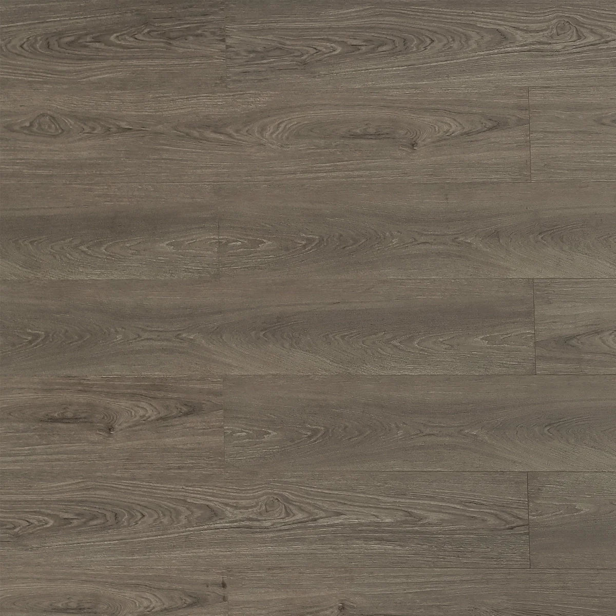 Toucan Laminate Waterproof - TF8302-F - TF 8302 Beaver