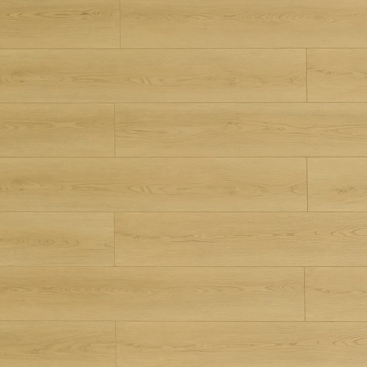 Toucan Laminate Waterproof TF 8307 - TF8307-F Prairie Dog