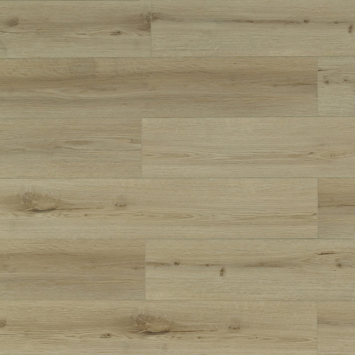 Toucan Luxury Vinyl LVP TFL 627  - TFL627 Honey Birch