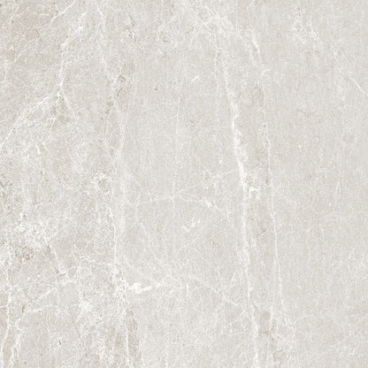 Close-up of Advantage Chalk Matte porcelain tile surface texture