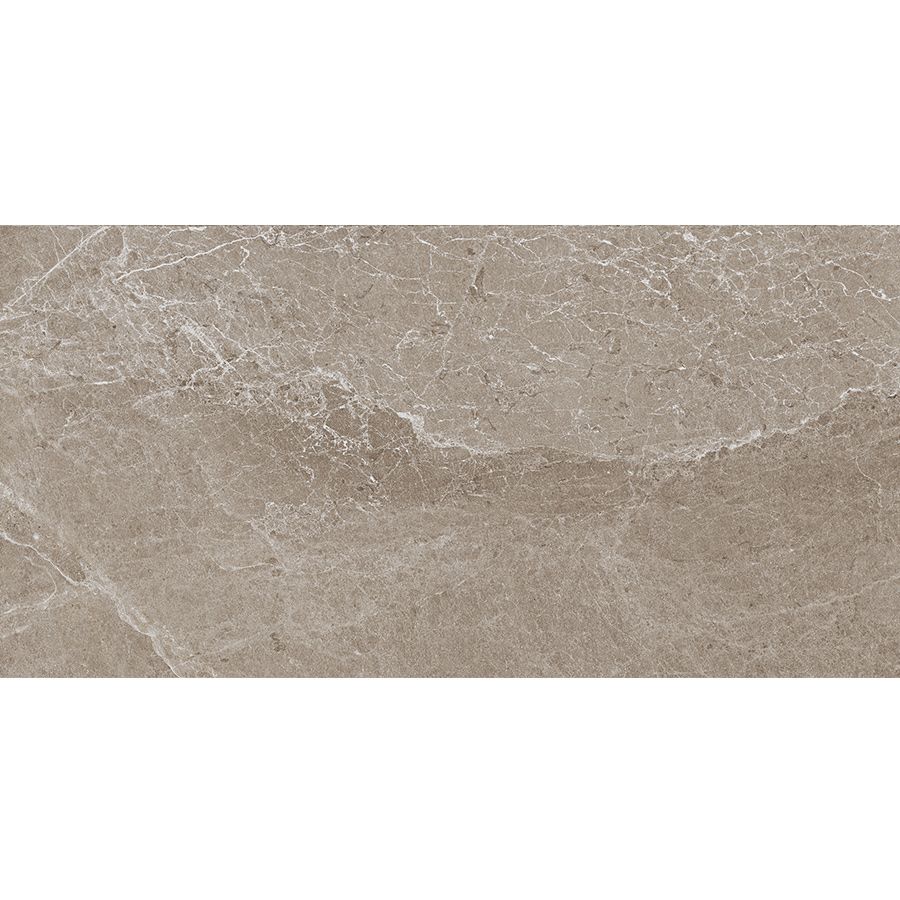 Advantage | 24"x 48" Greige Matte