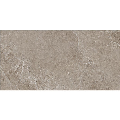 Advantage | 24"x 48" Greige Matte