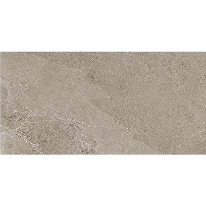 Advantage | 24"x 48" Greige Matte