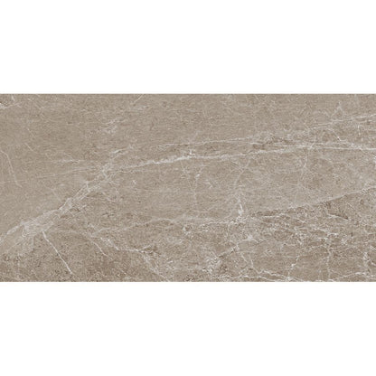 Advantage | 24"x 48" Greige Matte