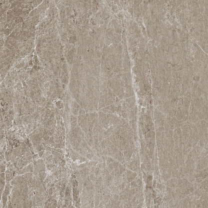 Advantage | 24"x 24" Greige Matte