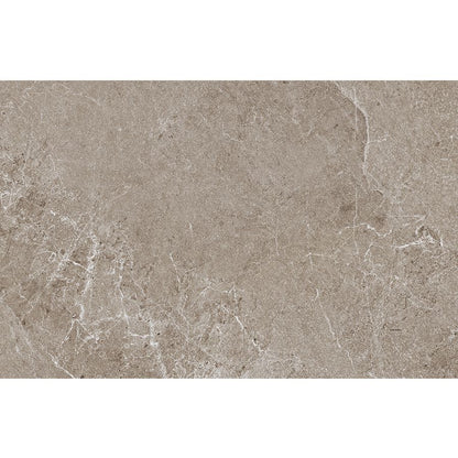 Advantage | 36"x 72" Greige Matte