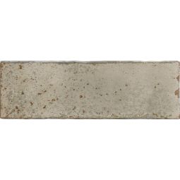 Amazonia | 2"x 8" Stone