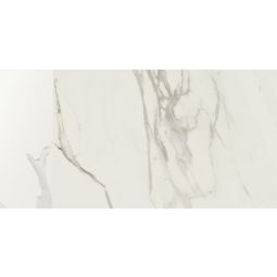 Anima | 12"x 24" Calacatta Oro Matte - CLEARANCE