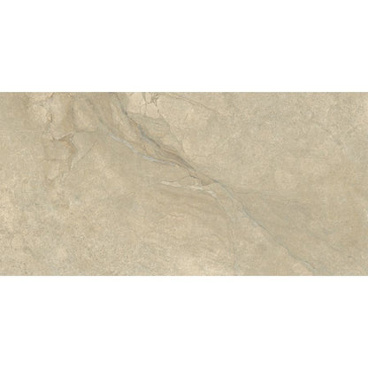 Anthology | Desert 24"x 48"