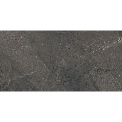 Anthology | Dark 24"x 48"