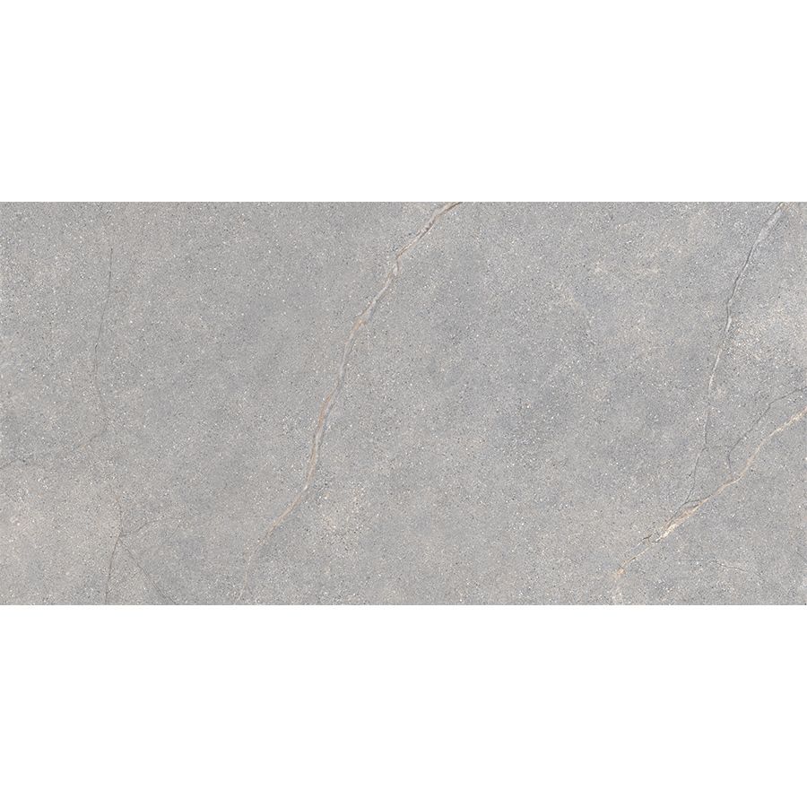 Anthology | Grey 12"x 24"