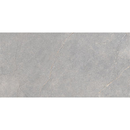 Anthology | Grey 12"x 24"