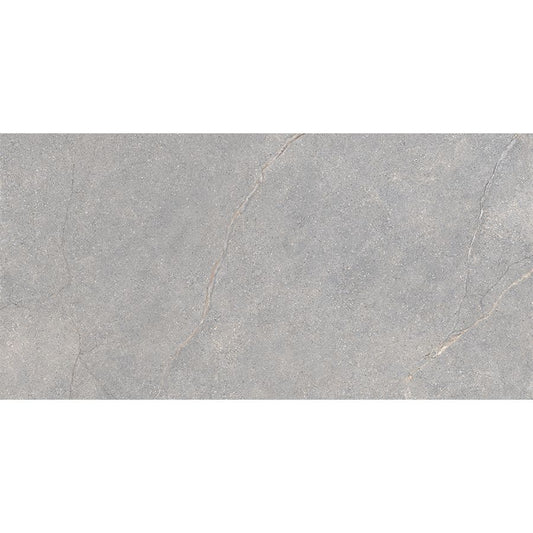 Anthology | Grey 12"x 24"