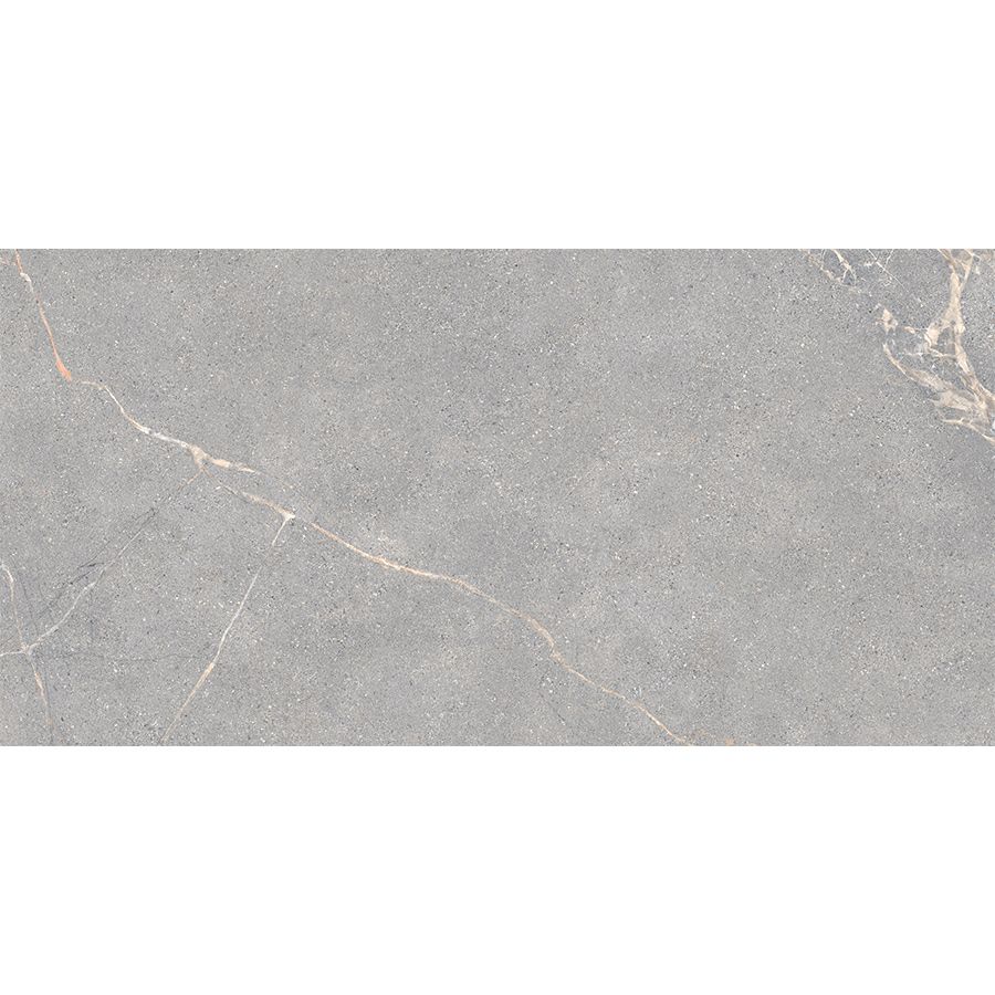 Anthology | Grey 12"x 24"
