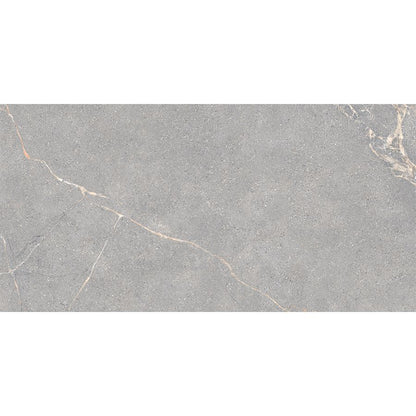 Anthology | Grey 12"x 24"