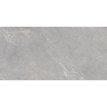 Anthology | Grey 24"x 48"